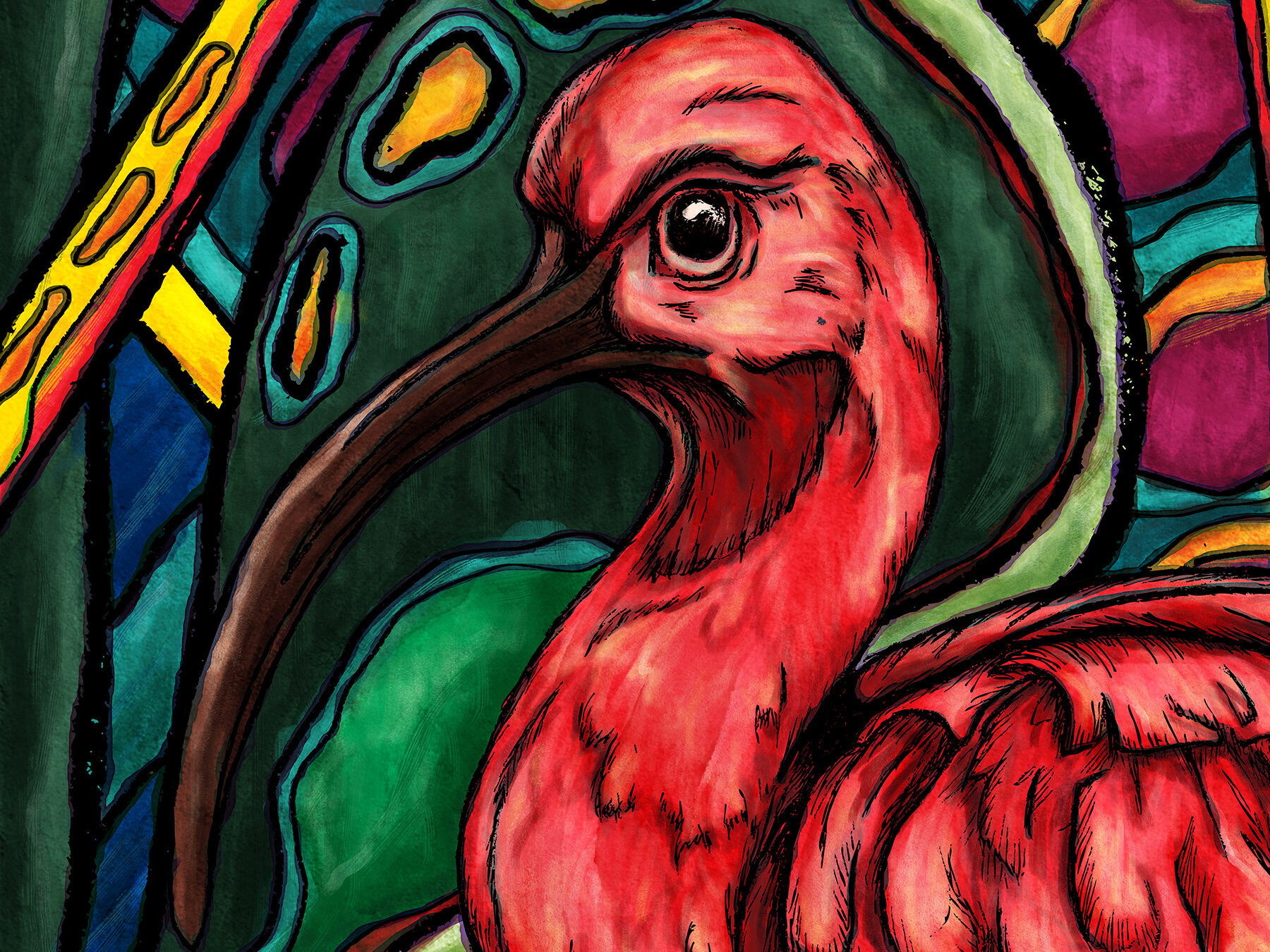 Red ibis in jungle